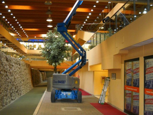 foto2.jpg